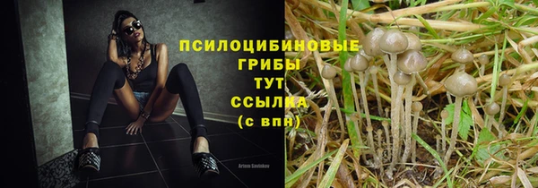 трава Абинск