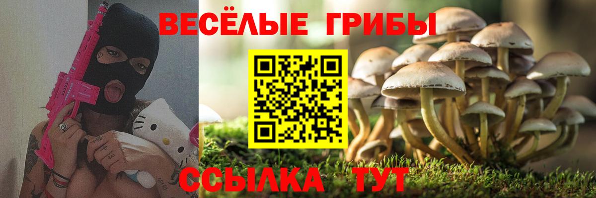 Псилоцибиновые грибы Psilocybe Златоуст